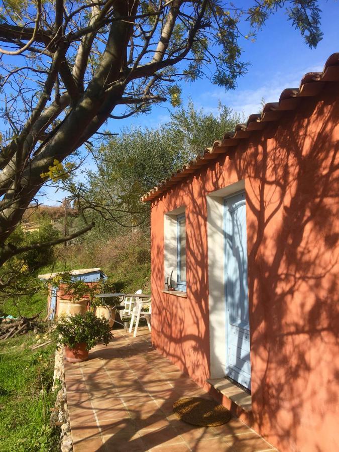 Magnifique Studio Dans Maisonnette Tourrettes-sur-Loup Exteriör bild
