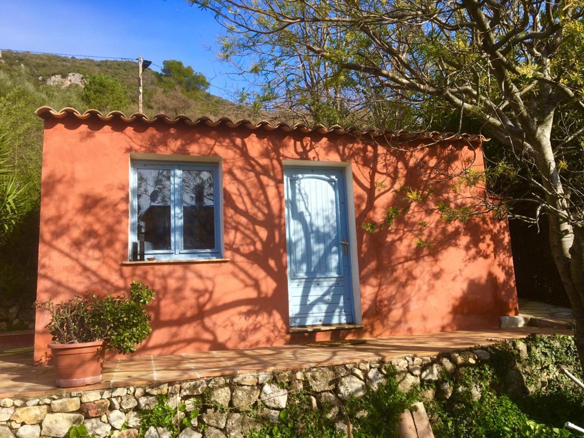Magnifique Studio Dans Maisonnette Tourrettes-sur-Loup Exteriör bild